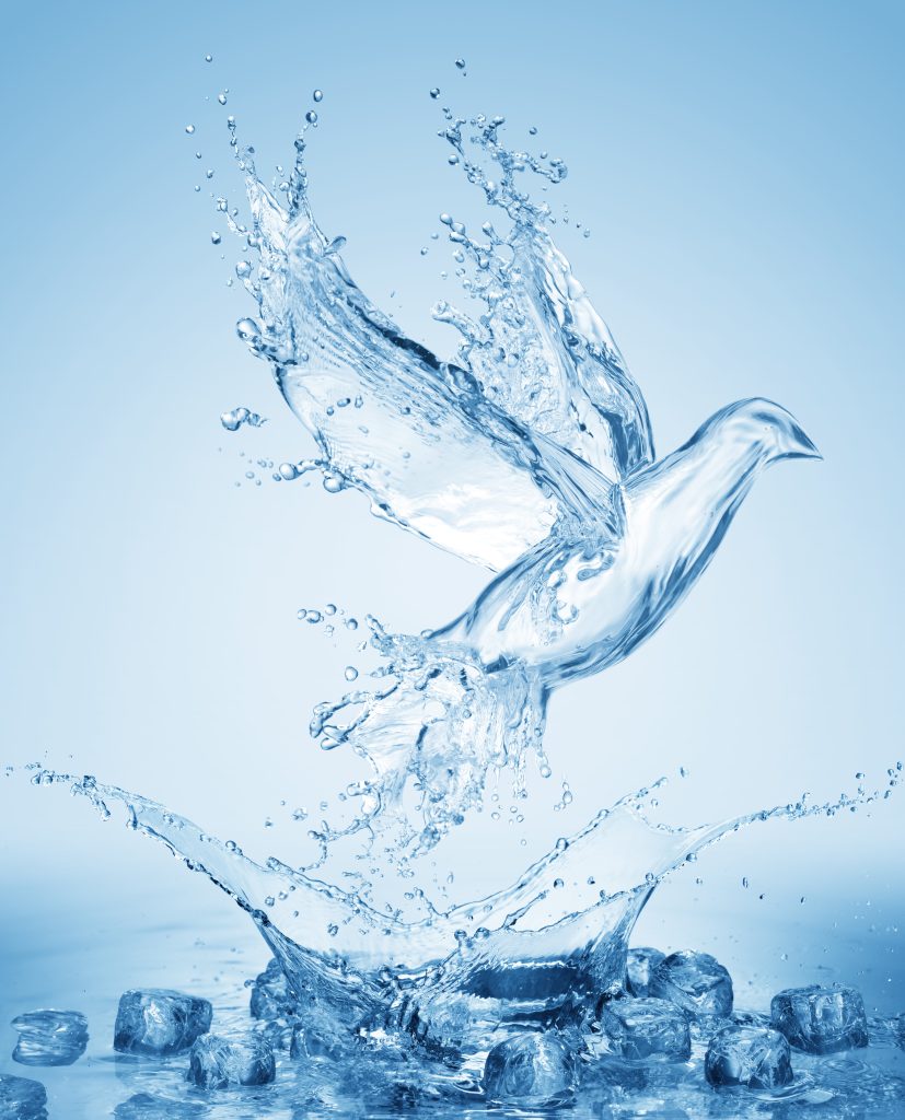The Holy Spirit